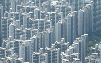 "文정부 4년 서울 아파트 공시가 86% 폭등…시세 상승률 웃돌아"