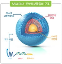 바이오니아 자회사, 패혈증 mRNA 억제제 국내 특허 출원