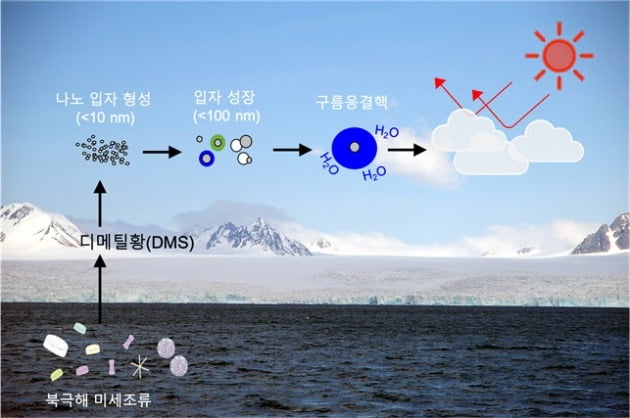북극 미세조류→디메틸황→대기 중 구름응결핵 모식도. 극지연구소