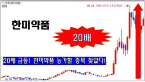 진짜 큰 돈 벌어줄 몇 천원대 종목!