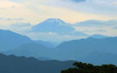 도쿄의 대표적인 산 '타카오산'