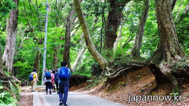 1호코스의 잘 정비된 등산로 / JAPAN NOW