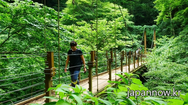 4호 코스에서 만나는 현수교 / JAPAN NOW