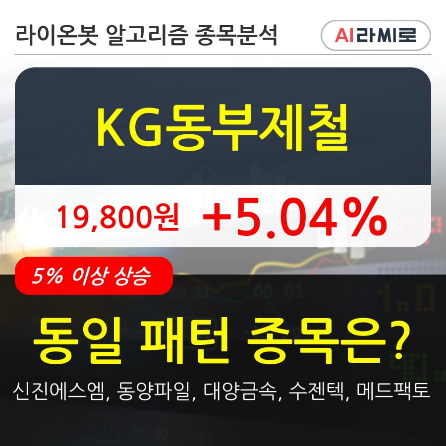 KG동부제철