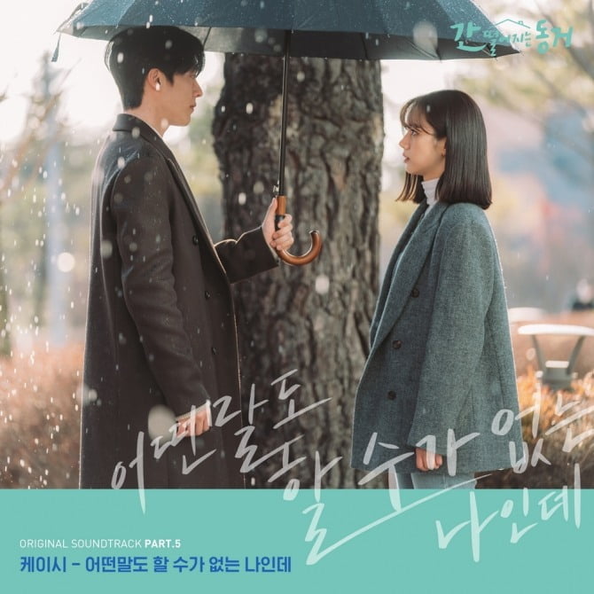 케이시, ‘간 떨어지는 동거’ OST ‘어떤 말도 할 수가 없는 나인데’ 24일 발매