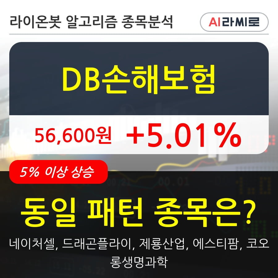 DB손해보험