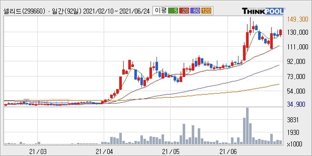 셀리드, 전일대비 +11.5% 장중 반등세... 최근 주가 상승흐름 유지