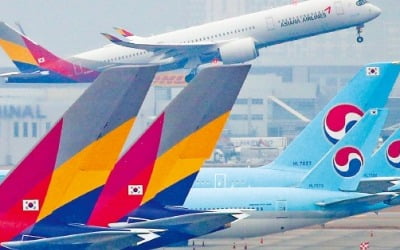 "인위적 가격인상 없다" 약속에도…늦어지는 '통합 항공사'