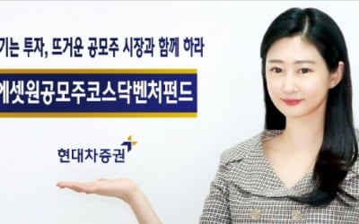 현대차증권, 코스닥 저평가 공모주 선별…안정적 수익 창출