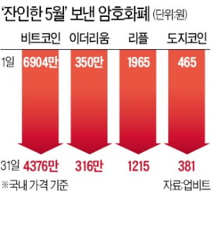 최악 5월 보낸 비트코인…"바닥 쳤다" vs "약세 지속" 팽팽