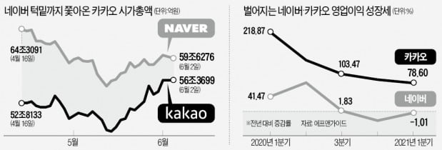 네이버
브라운 