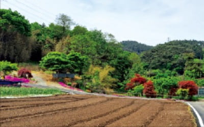 [한경 매물마당] 김포시 대로변 1층 파리바게뜨 상가 등 9건