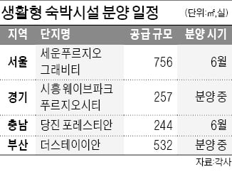 '규제 없는' 생활형 숙박시설 분양 활기