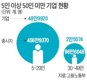 마지막 호소도 묵살…"中企 줄도산, 기업인은 범법자 내몰릴 것"