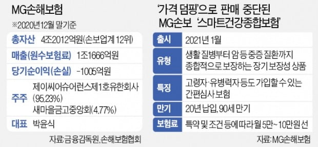 "고객 끌어모으려 헐값 판매"…금감원, MG손보 '덤핑 보험' 제동