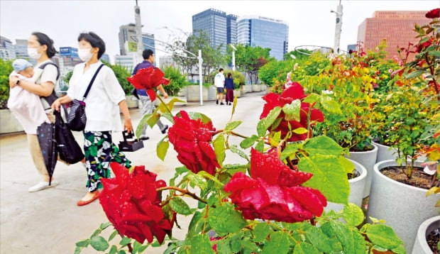 맑고 낮 최고 33도 무더위…수도권·충북 오전에 미세먼지 '나쁨'