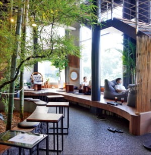 대나무 700그루가 카페 안에…사진 맛집 입소문 타고 매출 수직상승 | 한국경제