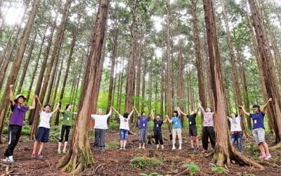 산림청 "기후위기 시대, 산림 잘 가꿔 탄소 흡수 능력 높인다"