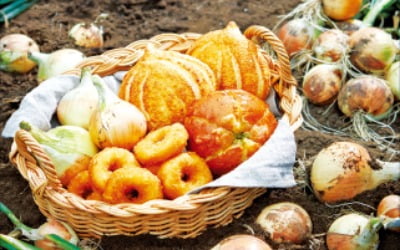 파리바게뜨, 지역 농산물 구매…농가와 상생