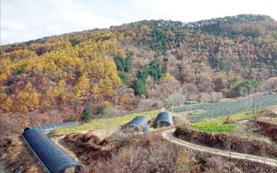 온몸으로 느끼는 백두대간 정기…계곡에 발 담그면 뼛속까지 찌릿