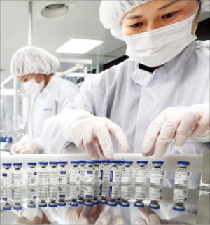 한국코러스 춘천공장 직원이 러시아에서 개발된 코로나 백신 스푸트니크V를 생산하고 있다.  /연합뉴스 