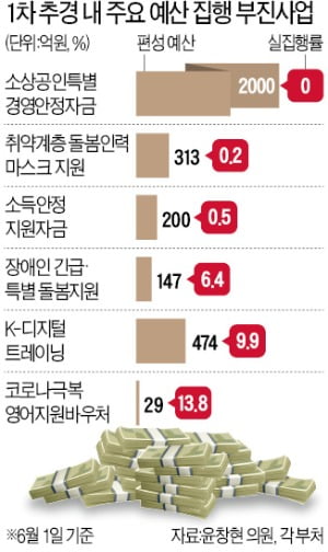 1차 사업 83%가 예산 절반도 못 썼는데…또 '35조원 묻지마 추경'