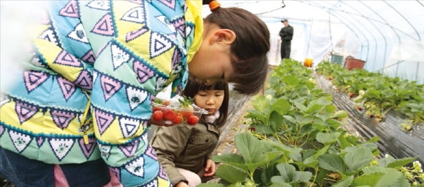 직접 캔 감자로 전 부쳐먹고 1급수 개울서 첨벙첨벙 물놀이