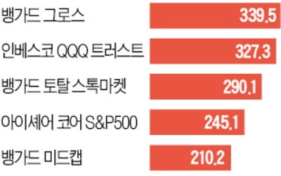 선진국 주식형 ETF에 글로벌 투자금 몰린다