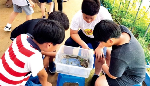 "엄마, 농사 짓는 오리들이 신기해요"