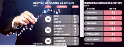 BP·롤스로이스·아디다스…10% 이상 더 오를 수 있다