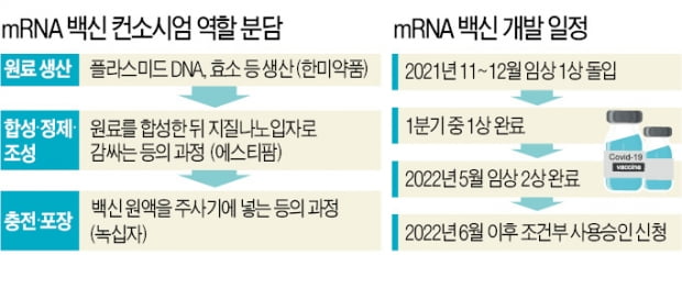 토종 mRNA 코로나 백신 만든다