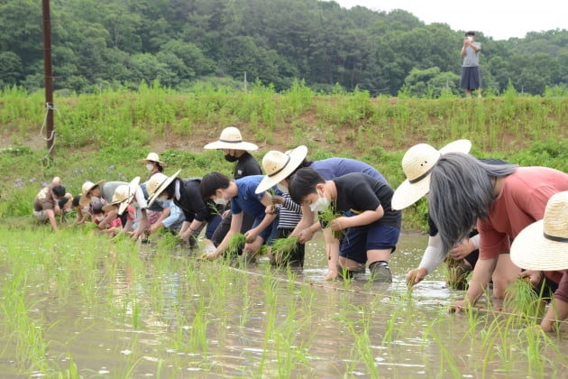 한국친환경농업협회, ‘유기농데이’로 기후위기와 친환경농산물 알린다