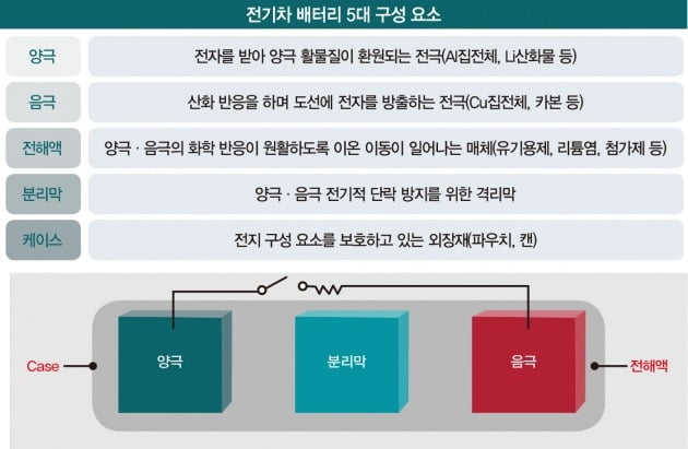 그래픽=배자영 기자