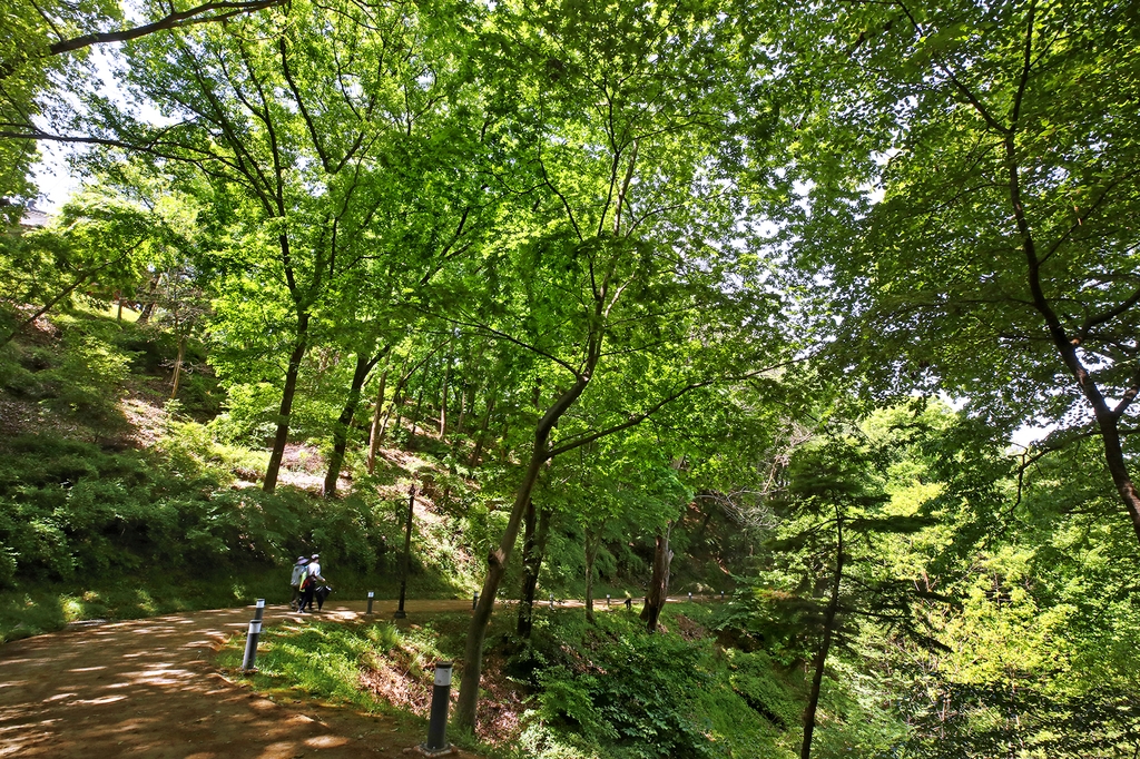 [걷고 싶은 길] 역사를 품은 공산성·황새바위성지길