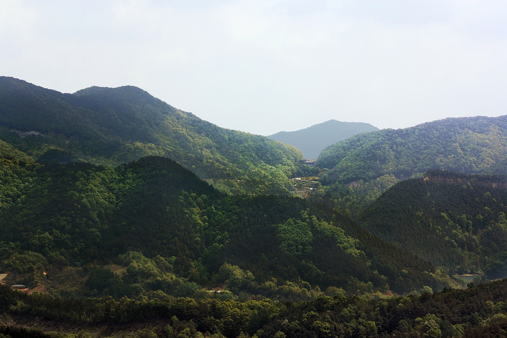 [imazine] 한국의 고개 ③ 보은 말티재