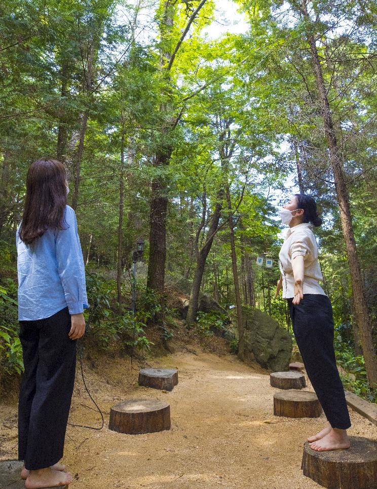 [여기 어때] 짙푸른 편백 숲에서 '꿀잠'…부산·경남 웰니스 여행