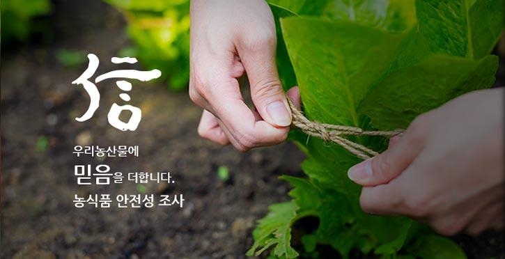 농관원 경기지원, 농산물 안전성 국제공인시험기관 지정