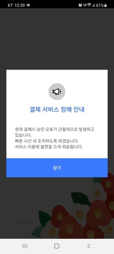 말도 탈도 많은 부산 지역화폐 '동백전' 이번엔 시스템 장애