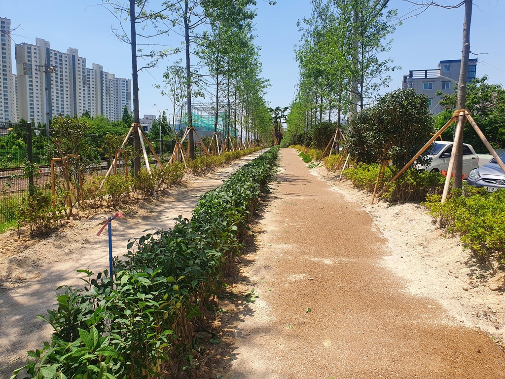 포항 '도심 허파' 역할 톡톡…철길숲 더 커진다