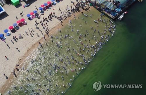 속초시 썸머페스티벌·수제맥주 축제 취소