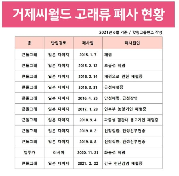 동물애호단체 "거제씨월드에서 돌고래 11마리째 폐사"