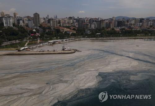 마르마라해 뒤덮은 '바다의 콧물'…터키, 제거팀 발족