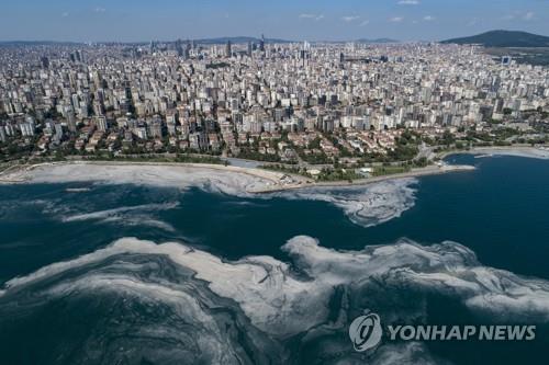 마르마라해 뒤덮은 '바다의 콧물'…터키, 제거팀 발족