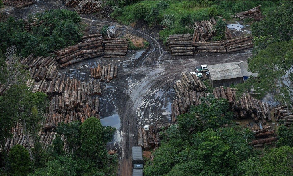 아마존 파괴 늘어 궁지 몰린 브라질…군병력 재투입할 듯