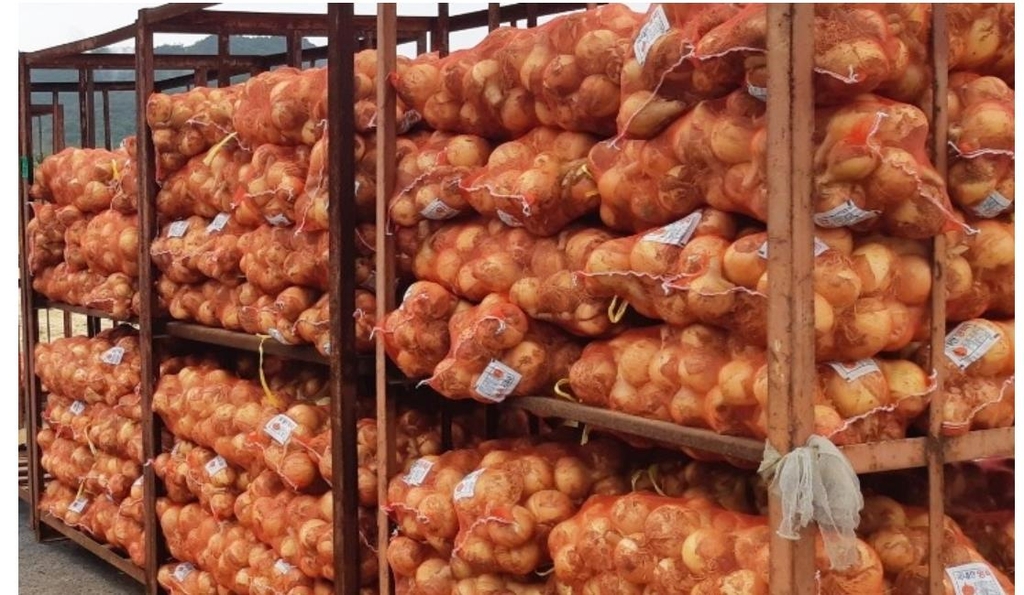 농협, 양파 소비 촉진 캠페인…하나로마트서 20% 할인 판매