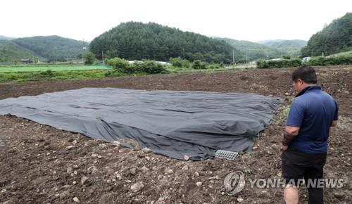 안동·예산 사과밭까지 옮겨간 과수화상병…전국 방제 초비상