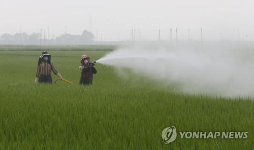 전북도, '산림 병해충 예찰·방제 대책본부' 8월까지 운영