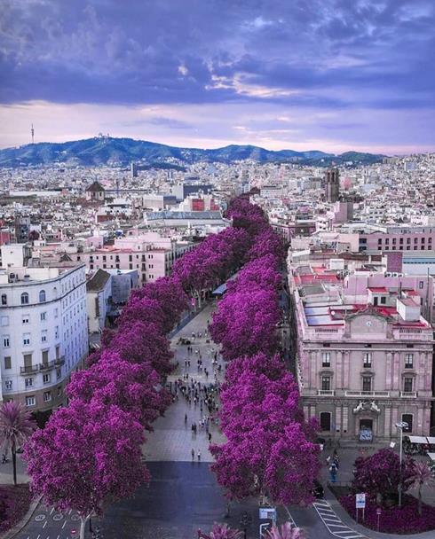 [여행소식] 스페인관광청, 관광 재개 기념 '백 투 스페인' 캠페인