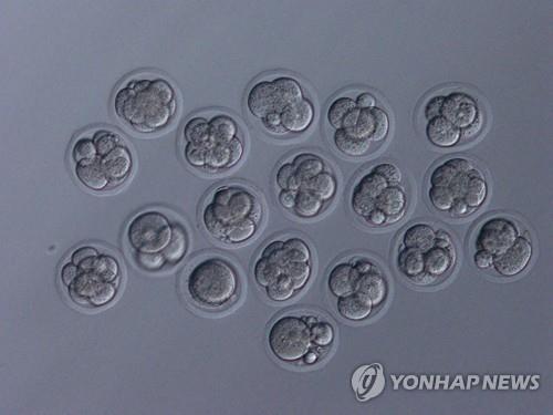 우주정거장 방사선에 장기간 노출된 쥐 정자서 정상 새끼 태어나