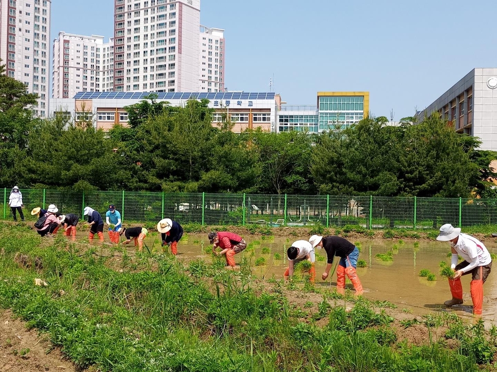 경기도, 취약계층에 도민텃밭 농작물 무상 제공